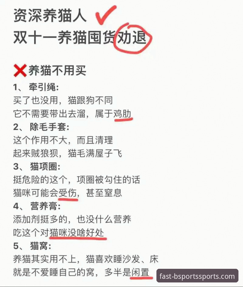 B体育2024版本 资深用户深度解析:B体育2024版本实战经验与下载全攻略